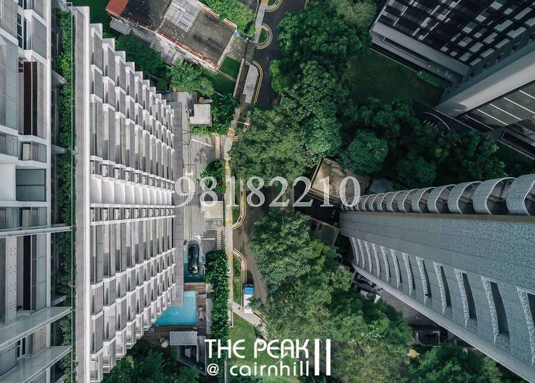 The Peak @ Cairnhill II (D9), Apartment #140830002
